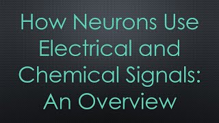 How Neurons Use Electrical and Chemical Signals An Overview [upl. by Ardnazxela]