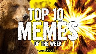 TOP 10 VIDEO MEME della SETTIMANA 12  ScuolaZoo [upl. by Juetta637]