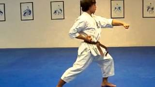 Taikyoku Shodan Shotokan Karate kata 1 [upl. by Klehm561]