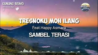 Top Tresnoku moh ilang  sambel terasi  Happy Asmara lirik [upl. by Binni]