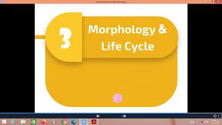 Introduction to Parasitology  Dr Ahmed Saad [upl. by Shamus280]