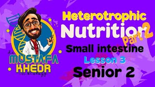 Biology  heterotrophic nutrition  part 3  small intestine [upl. by Niroht757]