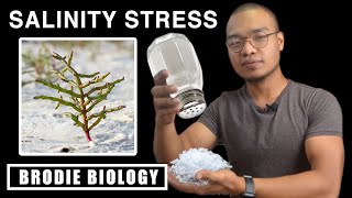 PLANT STRESS PHYSIOLOGY  SALINITY STRESS [upl. by Riella]