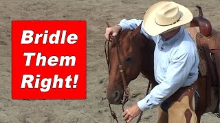 How To Bridle A Horse and Adjust The Bit Correctly  Training A Horse To Be Good To Bridle [upl. by Indyc]