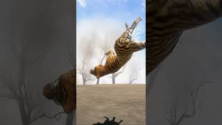 Epic Encounter Witness Vontis vs Tigers in Action [upl. by Januarius876]