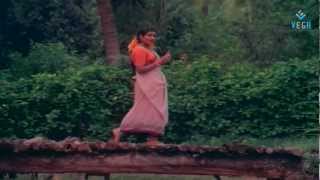 Vaidehi Kathirunthal  Raasaave Unnai  Ilayaraja  PSusheela Hit Song [upl. by Stedmann]