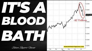 Stock Market Correction In Mag7 Stocks Sees 2 Trillion Dollar Plummet [upl. by Lesnah600]