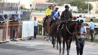 Maiden Cup 2018 au plus près des onze coursiers [upl. by Adnahsal]