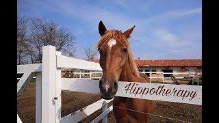 Hippotherapy and Autism Аутизъм и Хипотерапия [upl. by Anayrb]