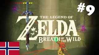 Vi skal jukse samma hva det koster  Zelda Breath of the Wild 9 [upl. by Idden964]