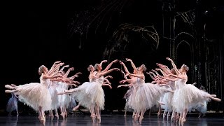 Swan Lake Corps de Ballet The Royal Ballet [upl. by Ollecram]