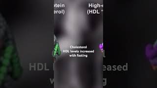 What happens to cholesterol during fasting  fasting benefits  LDL VS HDL cholesterol [upl. by Alo]