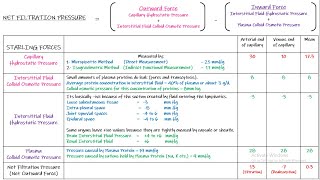 Fluid Filtration Across Capillaries Chapter 16 part 6 Guyton and hall physiology [upl. by Eceinehs948]