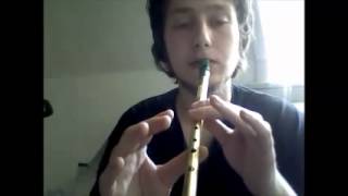 Braveheart theme on the tin whistle TUTORIAL [upl. by Laks210]