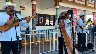 Jarochos tocando en Veracruz [upl. by Aleris864]