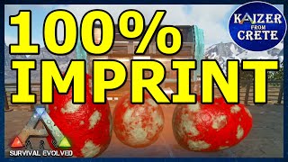 How to get 100 imprint with 1 care For all dinos  Server Settings ARK Survival Evolved [upl. by Siusan]