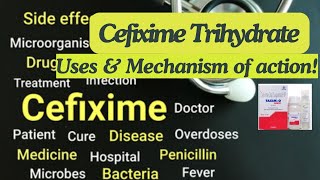 Cefixime Trihydrate Uses amp Mechanism of action cefiximetrihydrate impetigo pneumonia gonorrhea [upl. by Daphna871]