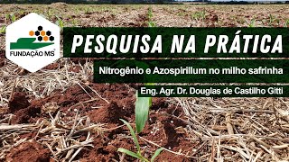 Pesquisa na Prática Nitrogênio e Azospirillum no milho safrinha [upl. by Irehc]