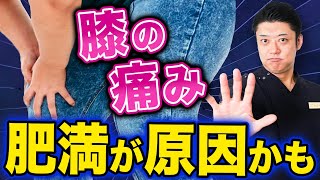 【ツライ膝の痛み】意外と知られていない膝の痛みの原因。肥満が与える影響とは？ [upl. by Ecyal]