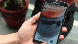 Galaxy Note 3 camera in action  detail review [upl. by Nnyluqcaj810]