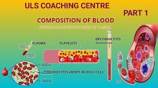 Blood its components and functions part 1Blood Components for Bsc MSc and CSIR NET [upl. by Smail310]