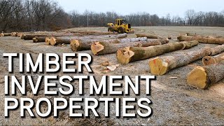 Timber Investment Properties  What To Look For [upl. by Assiralc]