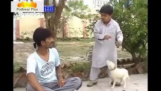 Pothwari DramaMaka From UkShahzada GhaffarNon Stop Comedy Part 2 [upl. by Aciretehs]