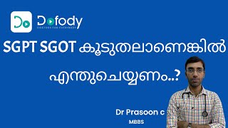 കരളിന്റെ പരിശോധന ചെയ്യണോ 💉 Is your SGPT SGOT Test High Does that mean Liver Damage 🩺 Malayalam [upl. by Ainiger]