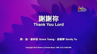 【謝謝祢 Thank You Lord】官方歌詞版MV Official Lyrics MV  讚美之泉敬拜讚美 19 [upl. by Darrej]