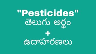 Pesticides meaning in telugu with examples  Pesticides తెలుగు లో అర్థం meaningintelugu [upl. by Neleh991]