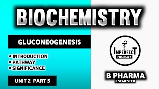 Gluconeogenesis  Carbohydrate Metabolism  Biochemistry  B Pharma 2nd Semester [upl. by Diraj]