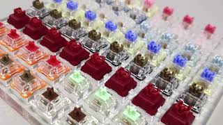 TTC amp Gateron key switches sound test  12 different clicky keys [upl. by Ewens736]