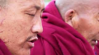 Dalai Lama Biography and Life Story  Full Documentary [upl. by Oiramat]