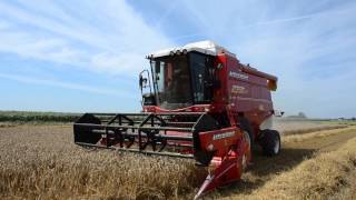 Laverda 2350LX combine harvester cutting wheat [upl. by Kimberlyn]