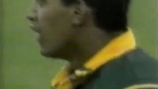 Breyton Paulse stunning solo try v NZ 99 [upl. by Adnarim]