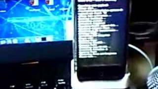 iPhone 114 batch unlocking and ptBR translate by dann [upl. by Lladnik896]