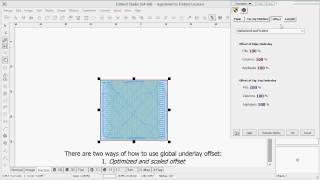 Global Parameters of the Design in Embird Studio [upl. by Yllak]