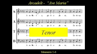 Ave Maria  Arcadelt  Tenor [upl. by Eylloh]