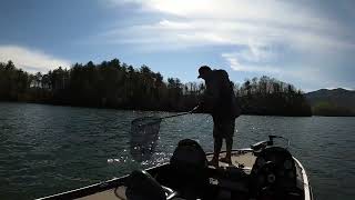 Early Spring Fishing Watauga Lake With First TN Frog Fish of 2022 [upl. by Oicul]