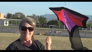 Brasington Kite Workshop Success [upl. by Patrich691]