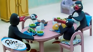 Pingu Spends Time with Friends amp Family 🐧  Pingu  Official Channel  Cartoons For Kids [upl. by Assenav]