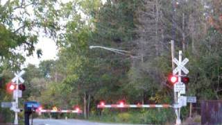 Amtrak Grade Crossing [upl. by Basham]