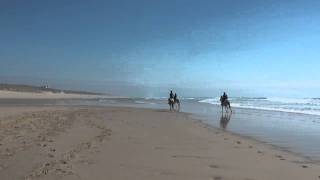 22 Mai 2011  Mimizan les Landes  dernier galop sur la plage avec les 3 blanches [upl. by Reteid954]