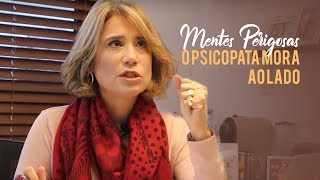 Mentes Perigosas o psicopata mora ao lado  Ana Beatriz Barbosa Silva [upl. by La Verne610]