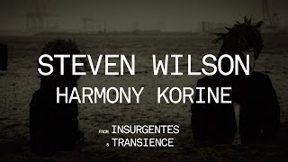 Steven Wilson  Harmony Korine from Insurgentes [upl. by Ahsikar622]