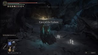 Cave of the Forlorn Walkthrough  Elden Ring [upl. by Nileak]