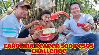 Farmer Expert Nganga Matapos Kumasa sa CAROLINA REAPER Challenge [upl. by Dnalerb]