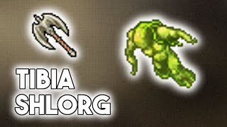 PL Tibia Boss  Shlorg Edron Earth Elemental Cave [upl. by Erialcyram]