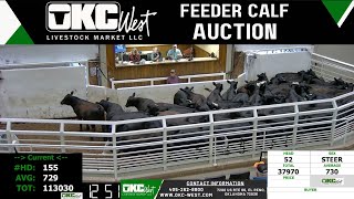 582024  OKC West Feeder Calf Auction [upl. by Mathews]