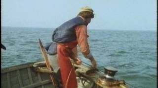 Cromer  Crabbing  Norfolk  1982 [upl. by Ffoeg]